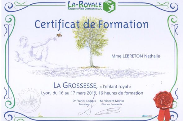 Formation sur la grossesse et l'allaitement : une approche naturelle