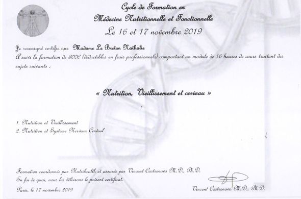 Formation sur la "Nutrition, Vieillissement et cerveau"